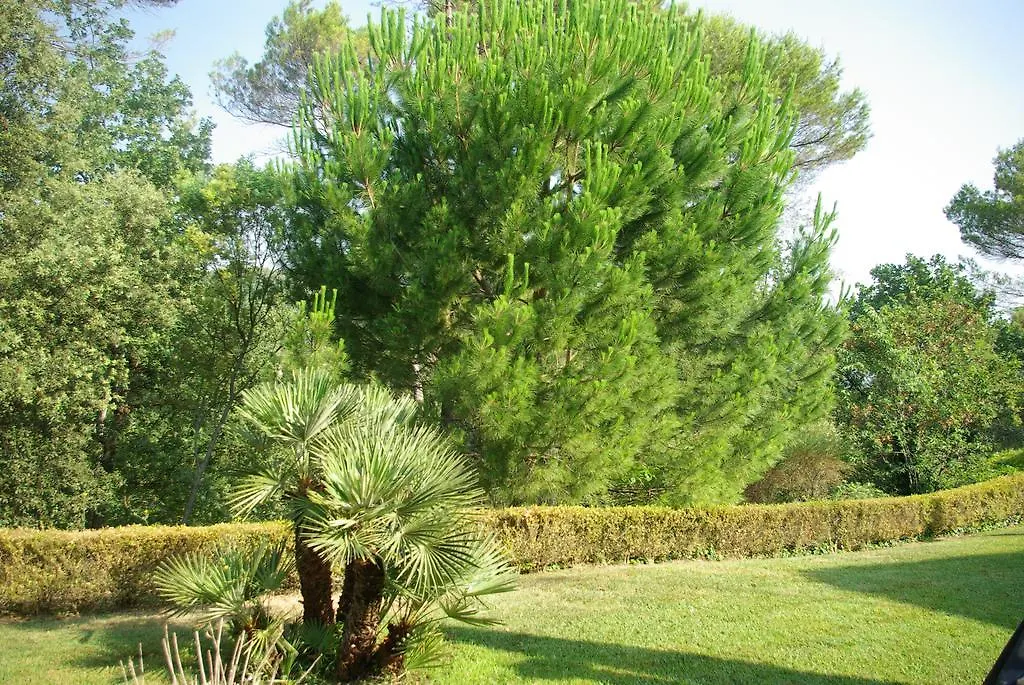 Bed & Breakfast Domaine Les Cigales Bed and Breakfast Mouans-Sartoux